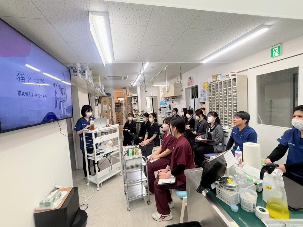 福岡市東区 勤務獣医師募集【新卒】
