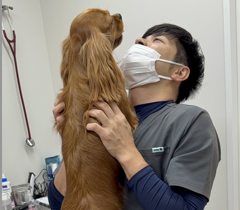 【選考期間9~10月中】愛玩動物看護師・ケアスタッフ