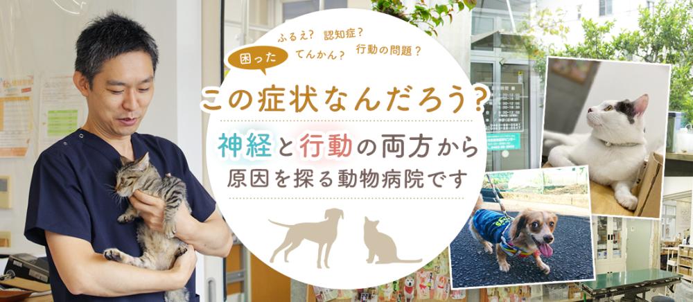 小さい動物病院で働きたい経験者向きです。