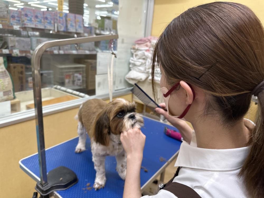 （株）ホリコシ　ペットショップAZ 長坂店