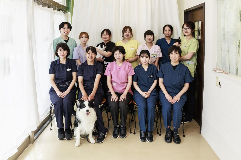【多摩市】無理なく長く働きたい看護師兼任トリマーさん募集