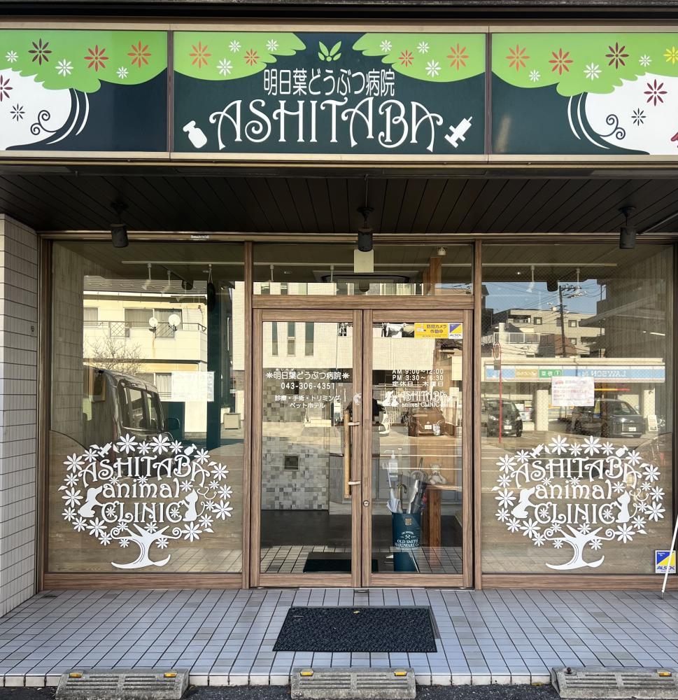 ミズノ 動物 クリニック