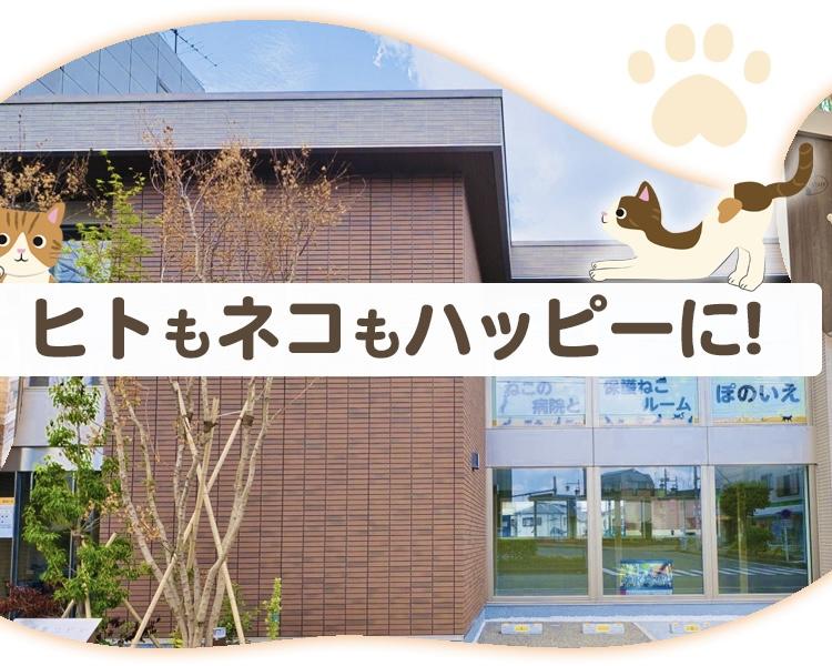 ねこの病院と保護ねこルーム　ぽのいえ