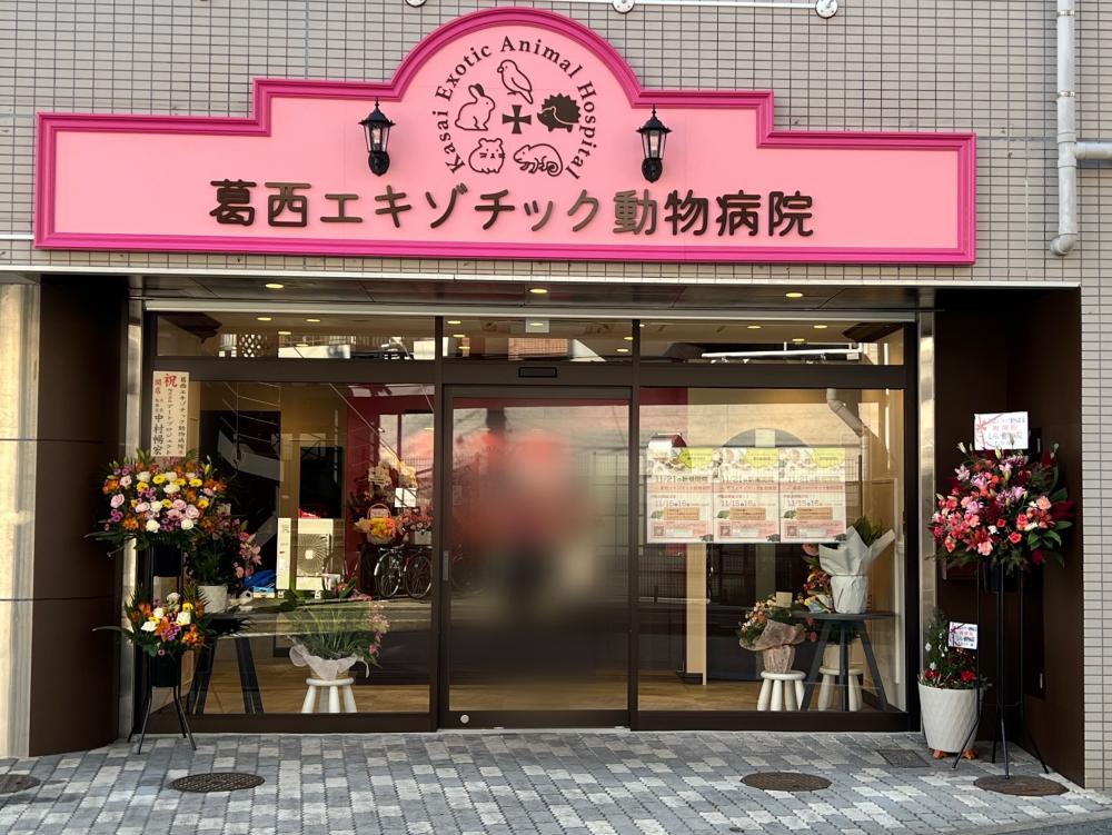葛西エキゾチック動物病院
