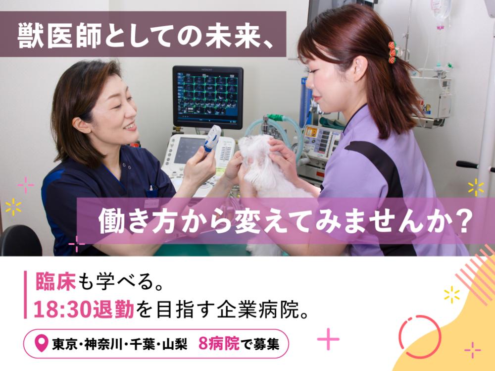 株式会社ジャパンペットコミュニケーションズ 