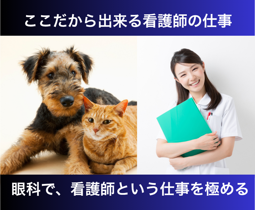 どうぶつ眼科EyeVet