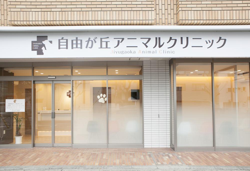 自由が丘アニマルクリニック