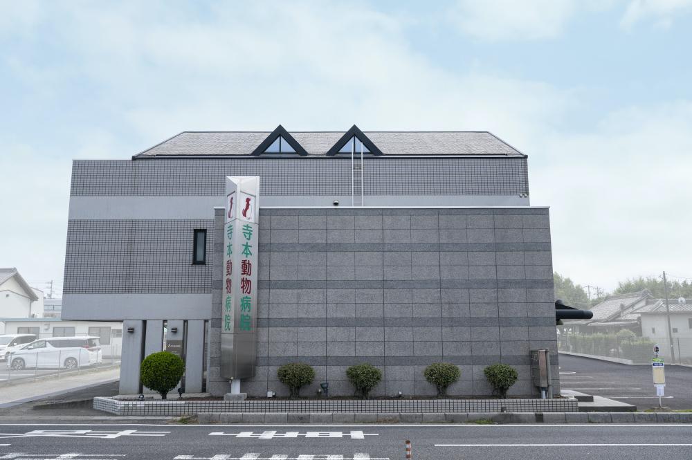 寺本動物病院