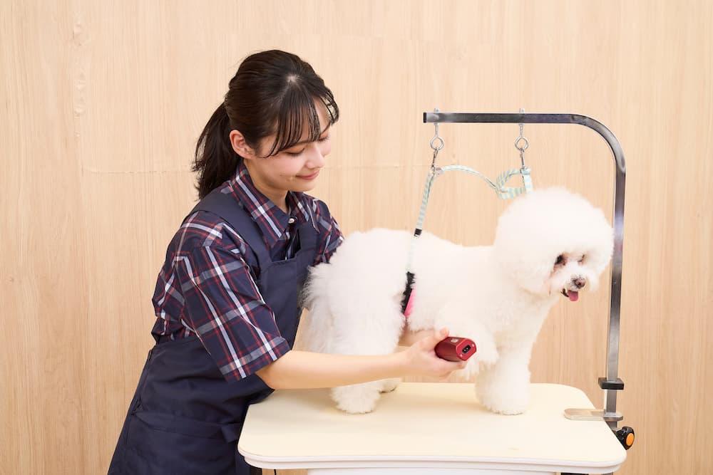 イオンペット株式会社