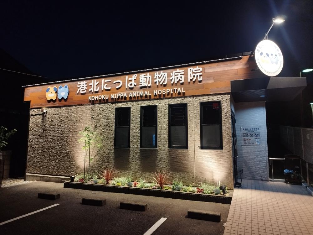 港北にっぱ動物病院