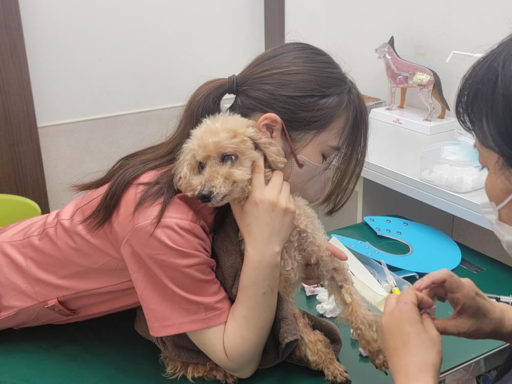 はるえ動物病院