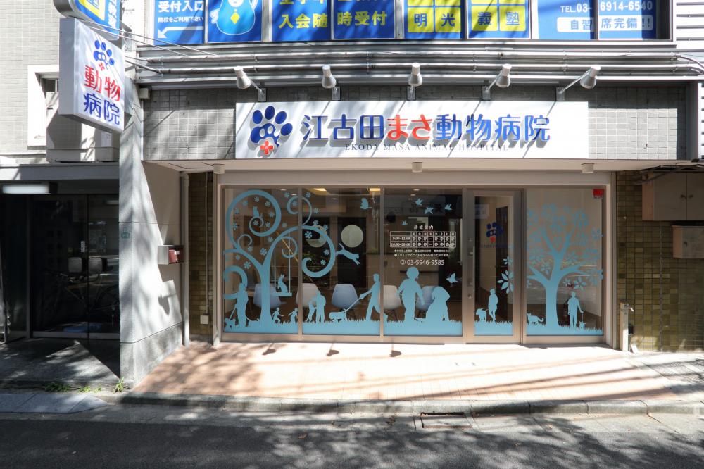 江古田まさ動物病院
