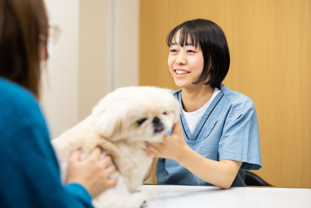 受付スタッフ募集／渋谷・恵比寿・代官山の動物病院