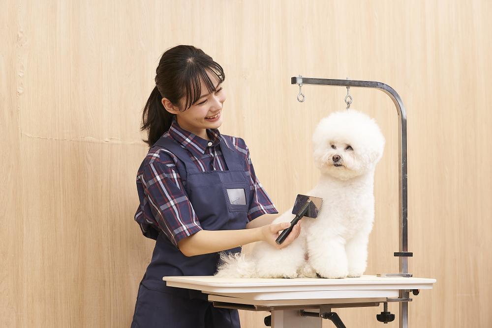 イオンペット株式会社