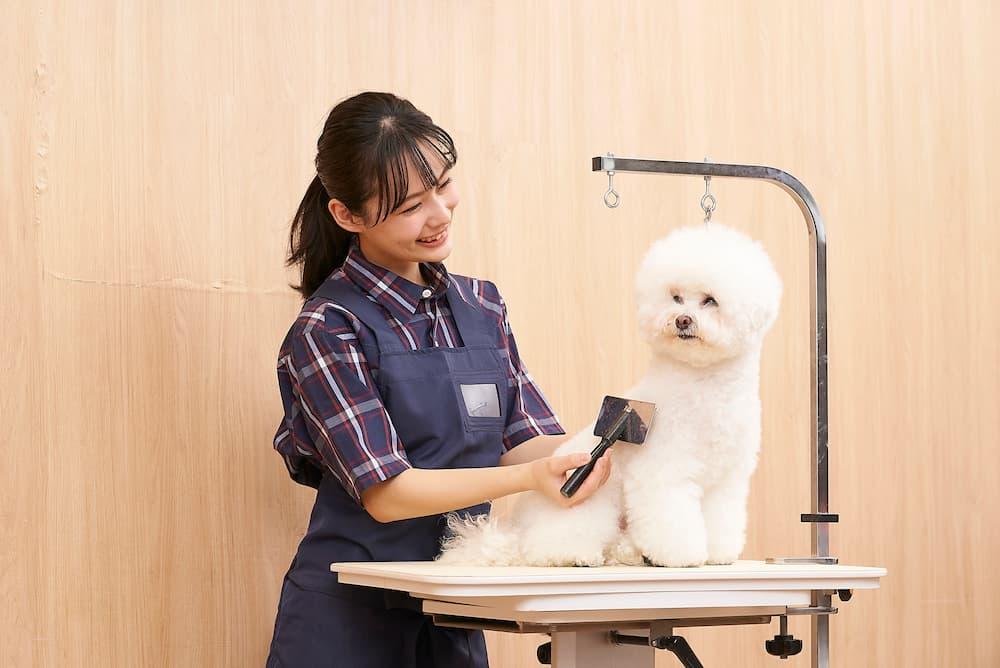 イオンペット株式会社