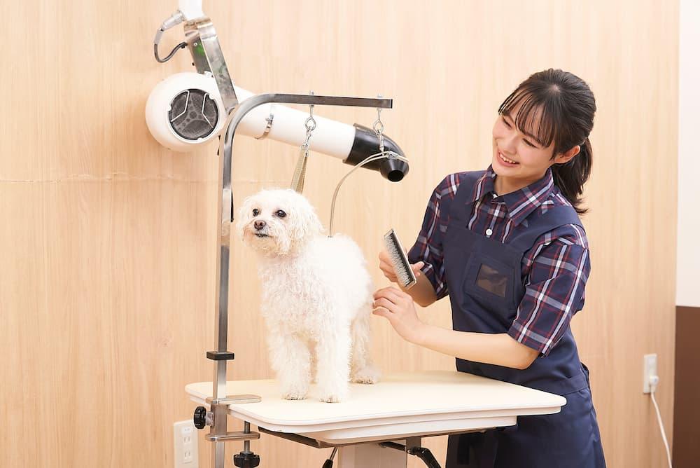 イオンペット株式会社