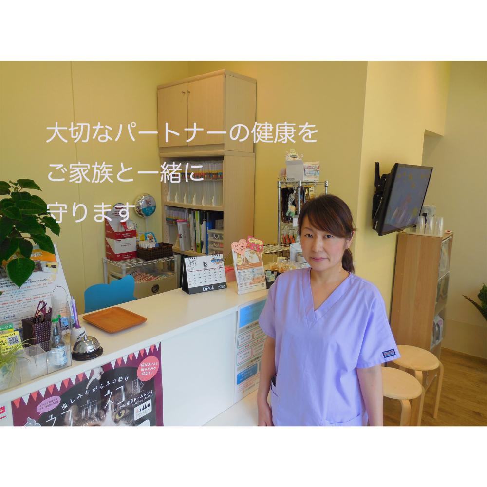 ひかる動物病院