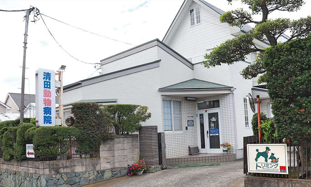 清田動物病院