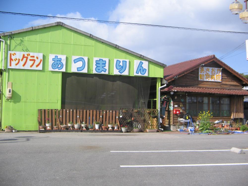 あさおか動物病院