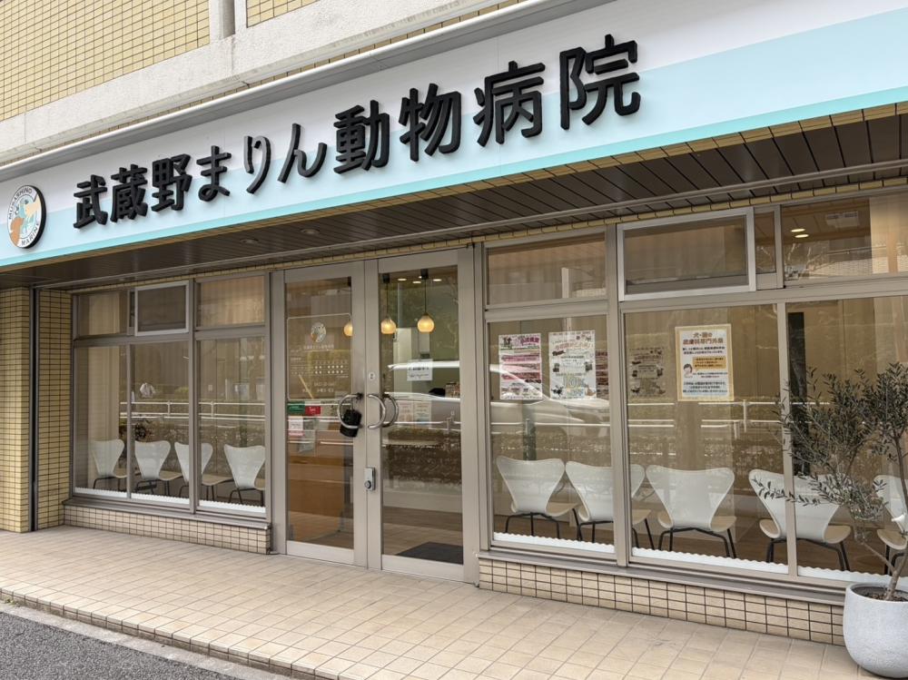 武蔵野まりん動物病院