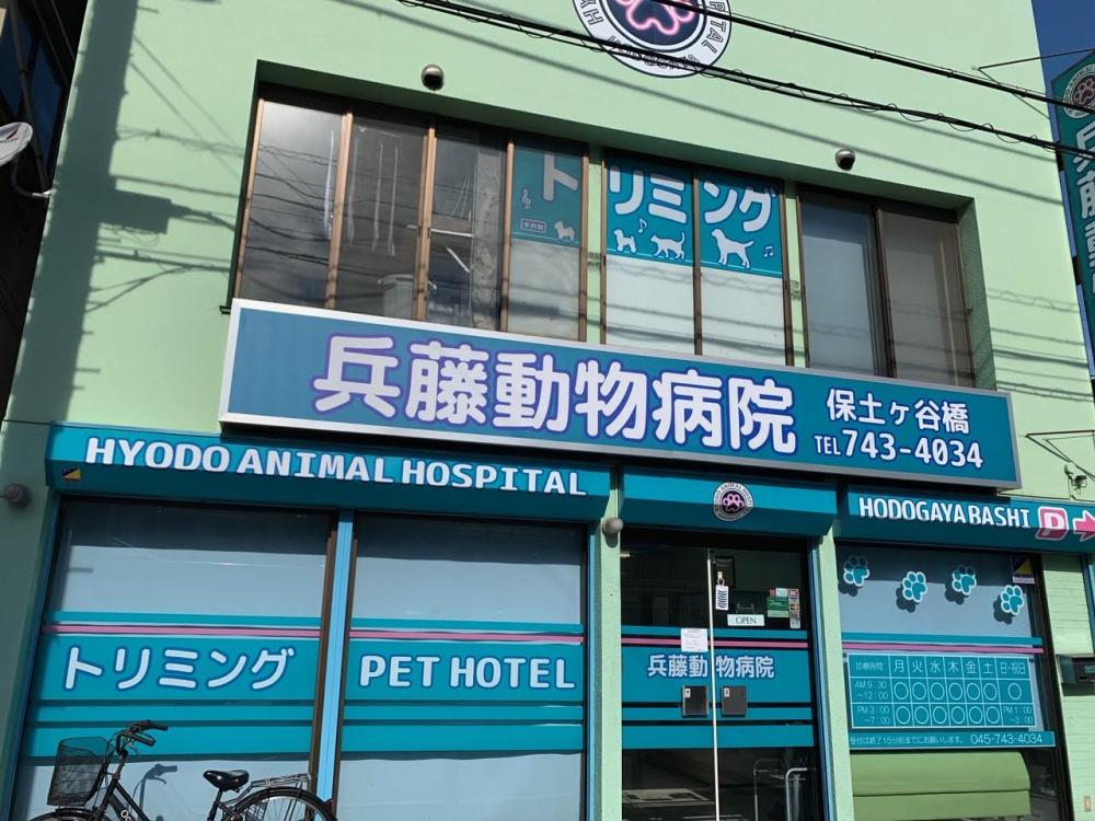 兵藤動物病院　保土ケ谷橋