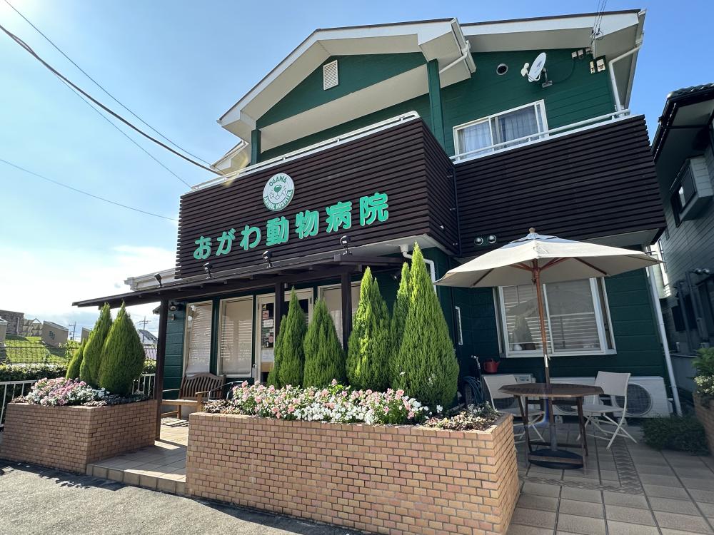 南越谷、北越谷、吉川駅からバスまたは、マイカー通勤可！