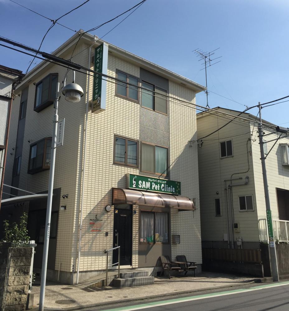 綱島・日吉【経験者/新卒】動物看護師募集（正社員・パート）　
