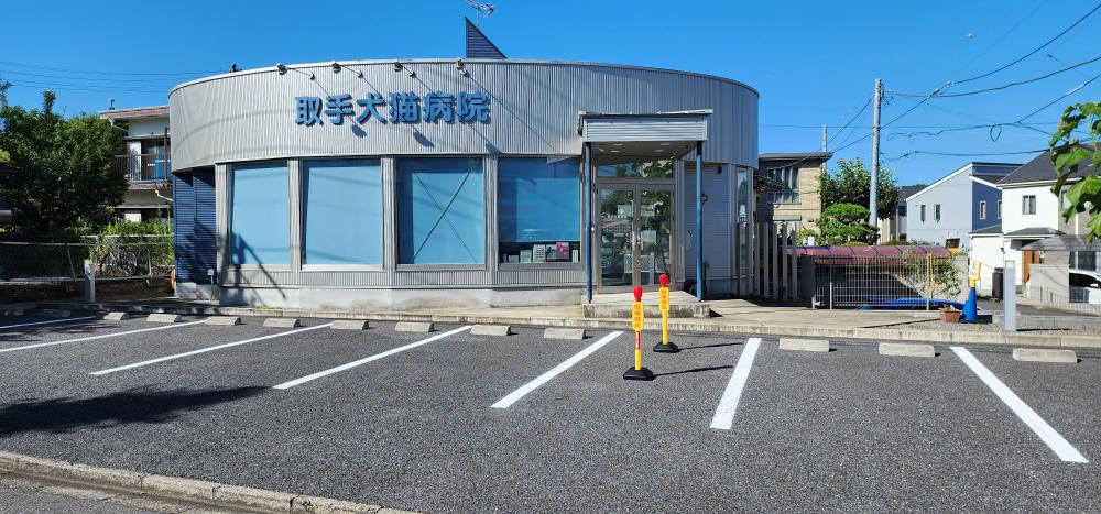 獣医師経験者募集