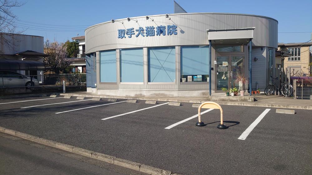 動物看護士、診療補助スタッフを募集しています