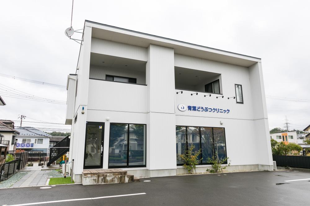 パート獣医師募集！【残業少なめ・シフト柔軟】
