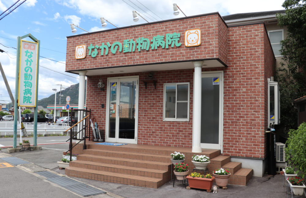 経験者募集　小動物診療を行う動物病院での勤務です。