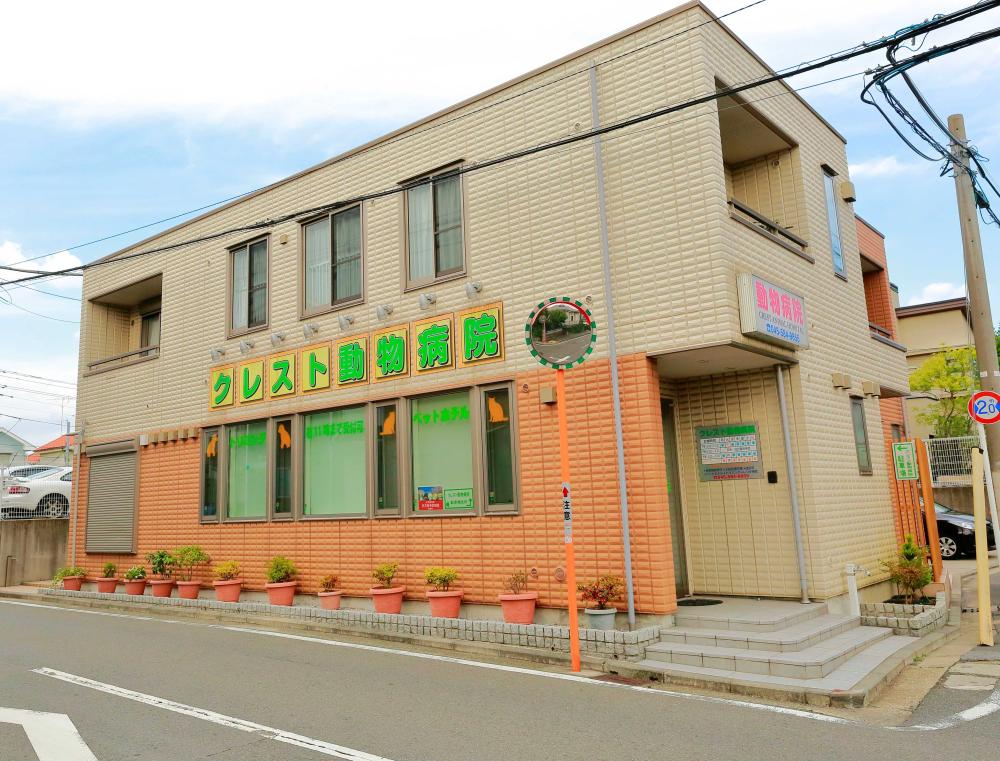 診察に特化した病院です。診察に1年目から集中できます。