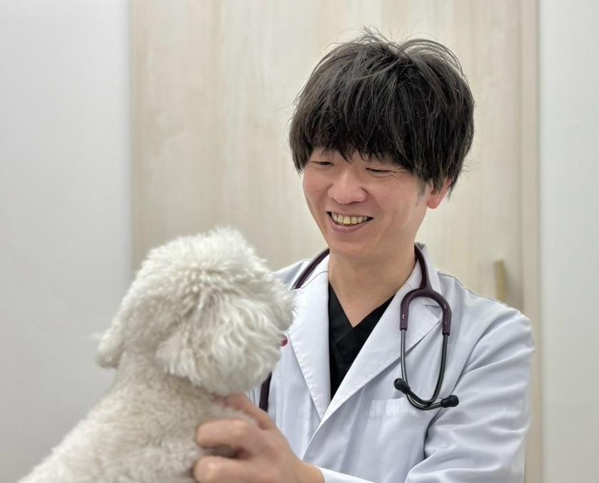 【正社員・パート募集】動物看護師・京田辺・新田辺駅近徒歩1分