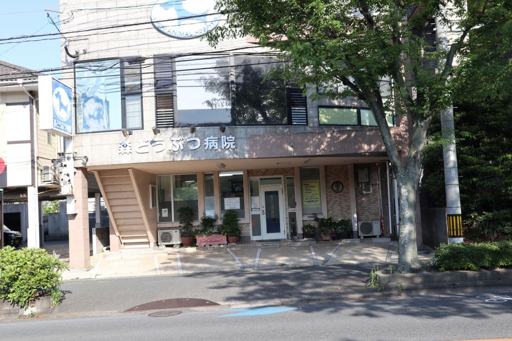 【北九州市　動物病院ケアスタッフ（パート）募集】