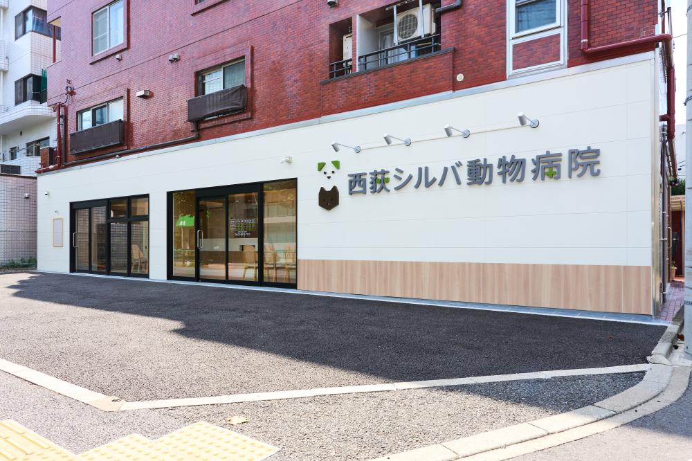 西荻シルバ動物病院