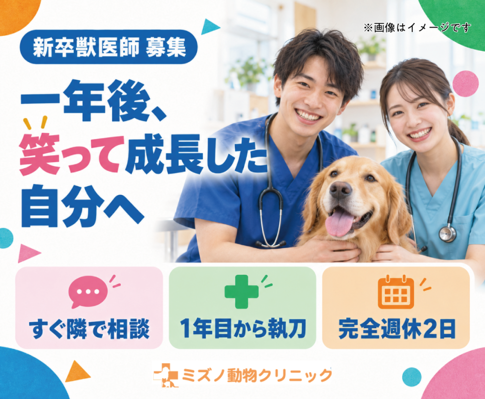 【新卒】獣医師｜一年後、笑って成長した自分へ