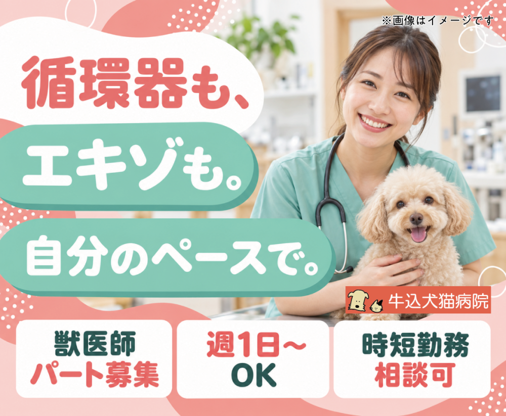 牛込犬猫病院