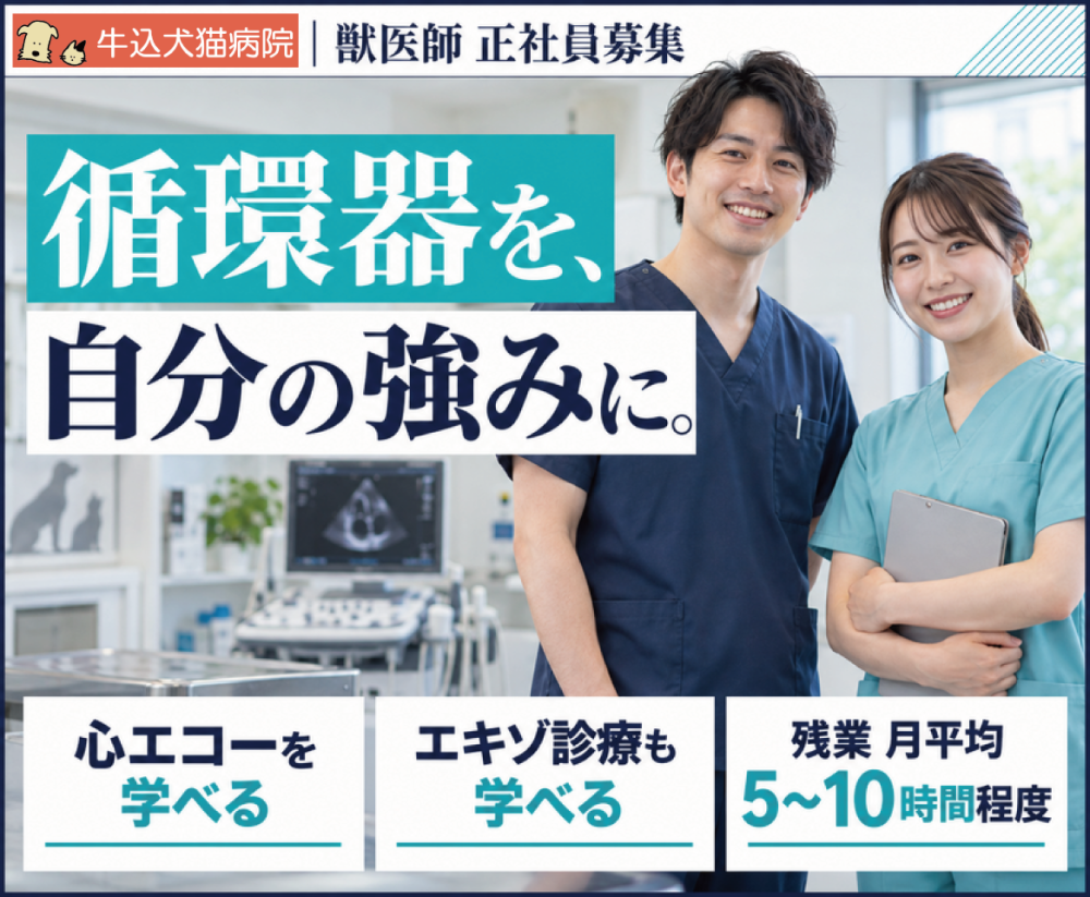 【獣医師】循環器＋エキゾ診療を学びたいあなたへ｜神楽坂