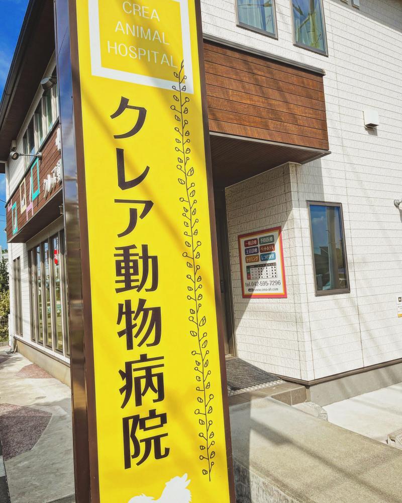 【立川駅からバスで5分】獣医師　正社員募集　