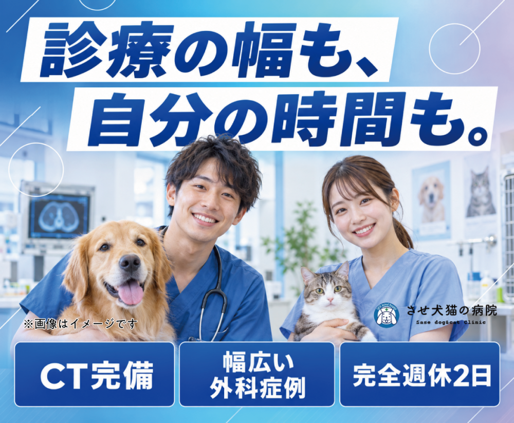 獣医師｜CT完備の1.5次診療｜仕事WLB人間関係が充実