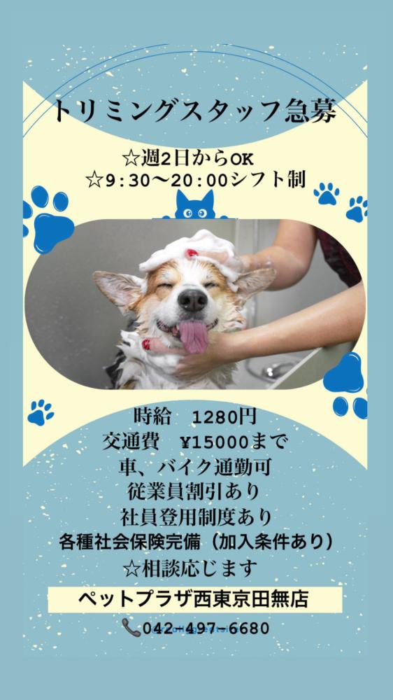 トリマースタッフ大募集