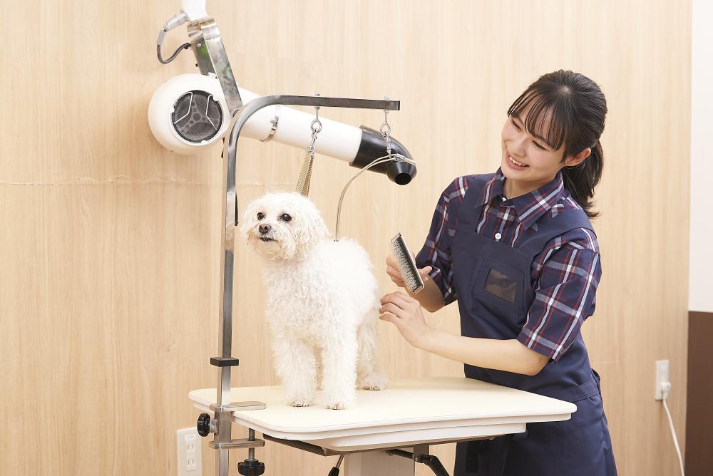 ペテモグルーミングサロンワカバウォーク店【正社員・パート】