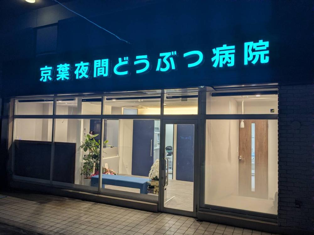 仕事とプライベートを充実させたい獣医師募集！