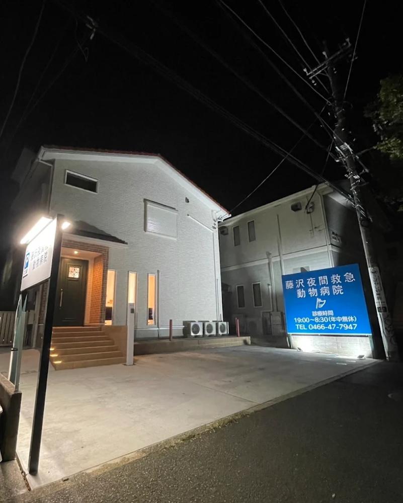 愛玩動物看護師募集「藤沢夜間救急動物病院」