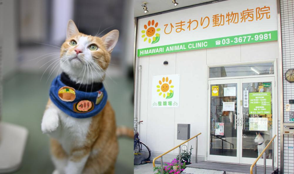 午前のみ・週2日から【江戸川区】動物病院経験者募集