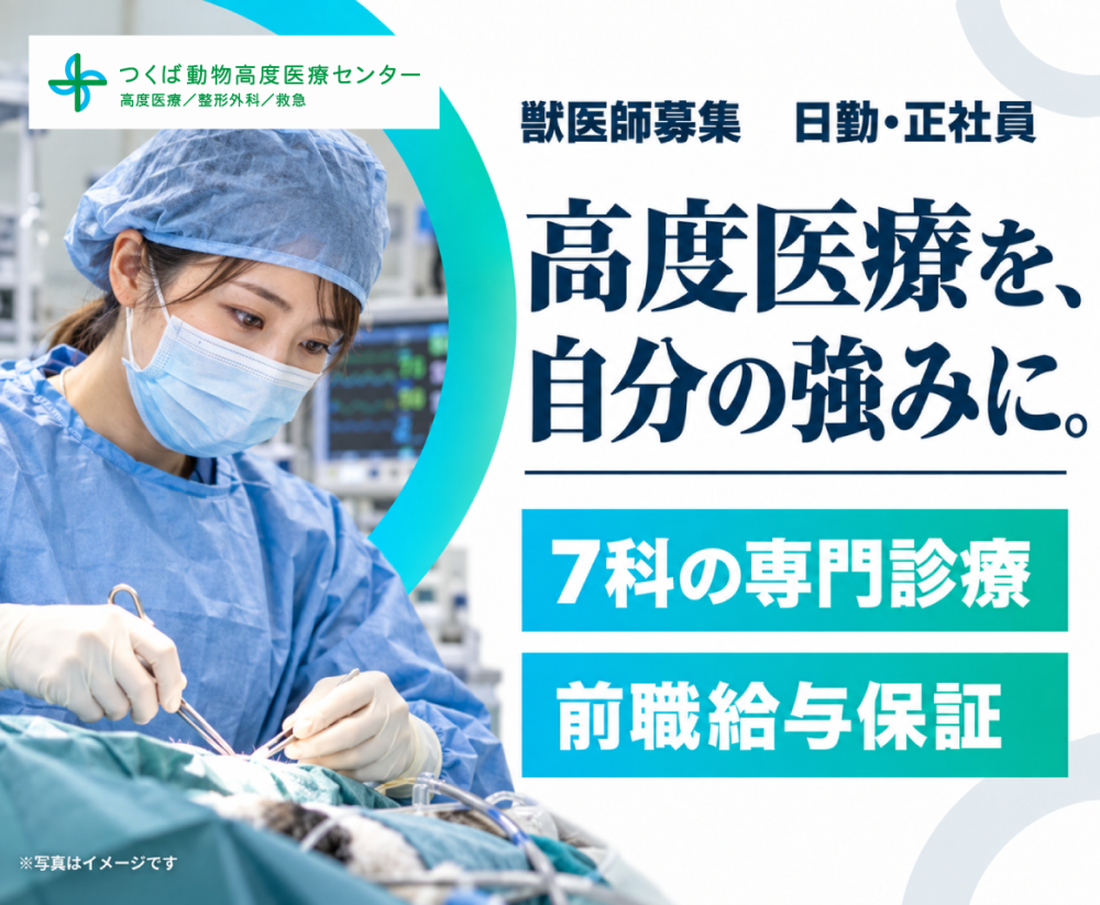 【獣医師/つくば】国内TOP水準の専門診療×前職給与保証あり