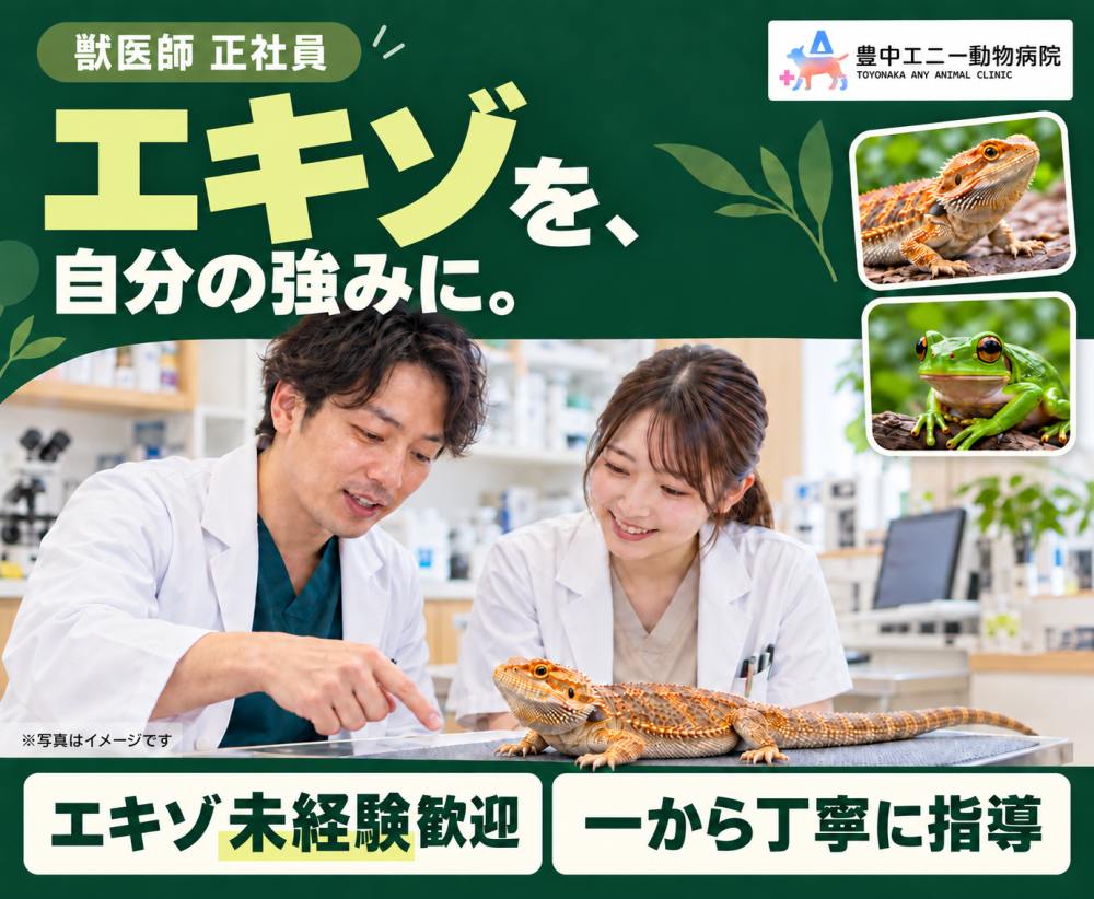 【獣医師】豊中｜エキゾを学びたいあなたへ｜エキゾ未経験歓迎