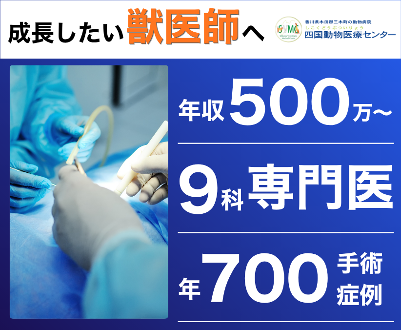 【四国】成長したい獣医師へ｜年収500万〜・9科専門医 