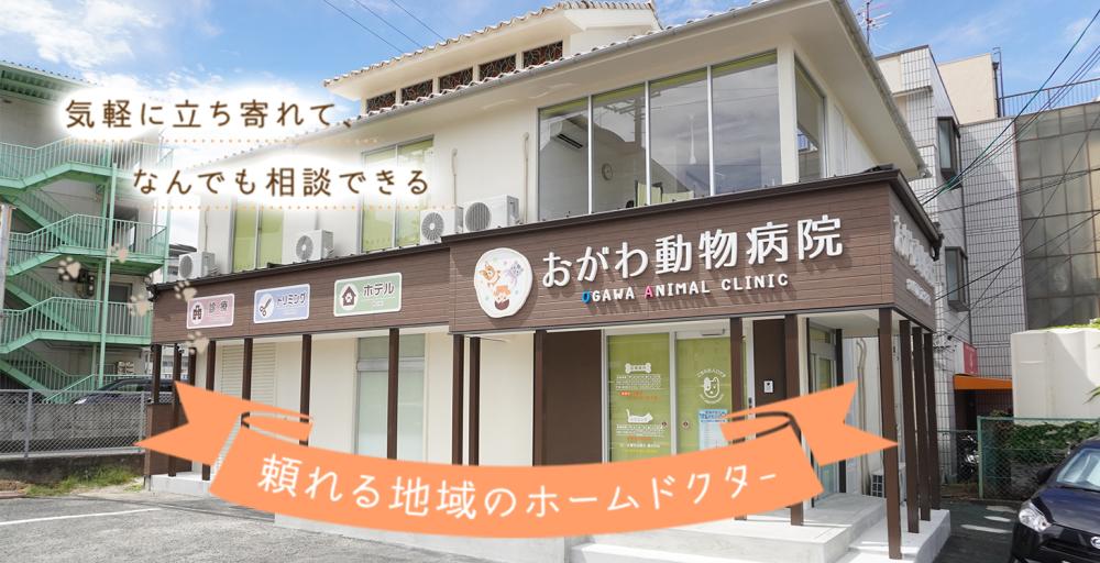 【富田林駅徒歩3分】愛玩動物看護師パート｜時給1,500円〜