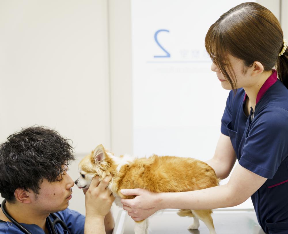 【経験者採用】動物愛玩看護師募集☆幸せなペットライフを支援☆